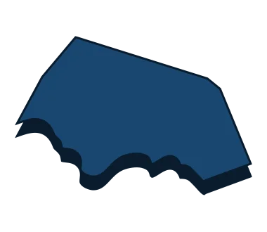 Williamson Image